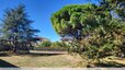 Promenade trame verte Corail