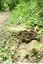 Travaux souterrains