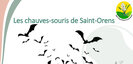 Suivi des chauves-souris à St O
