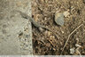 test photo 2