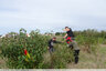 Installation des piquets sur les placettes de mesure