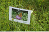 Fleurs et papillons au labyrinthe